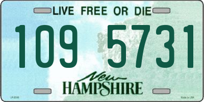 NH license plate 1095731