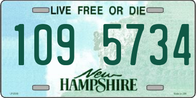 NH license plate 1095734