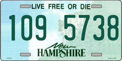 NH license plate 1095738