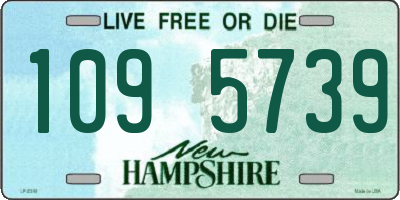 NH license plate 1095739