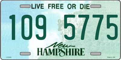 NH license plate 1095775