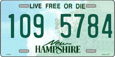 NH license plate 1095784