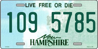 NH license plate 1095785