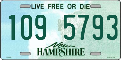 NH license plate 1095793