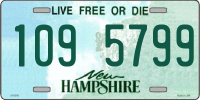 NH license plate 1095799