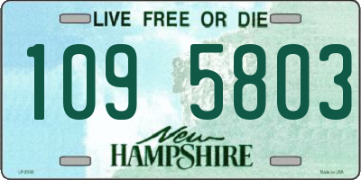 NH license plate 1095803