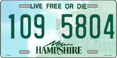 NH license plate 1095804