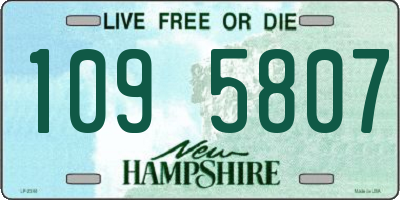 NH license plate 1095807