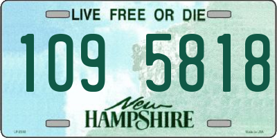 NH license plate 1095818