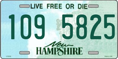 NH license plate 1095825
