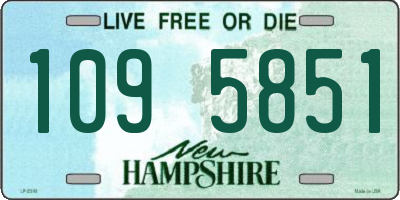 NH license plate 1095851
