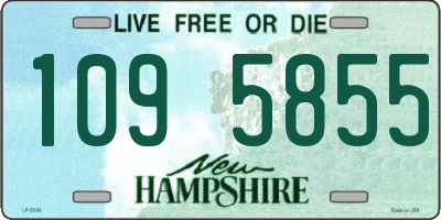 NH license plate 1095855