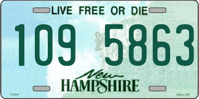 NH license plate 1095863
