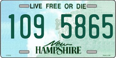 NH license plate 1095865