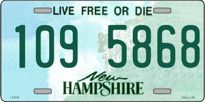 NH license plate 1095868