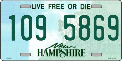 NH license plate 1095869