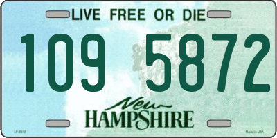 NH license plate 1095872