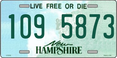NH license plate 1095873