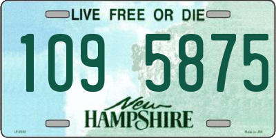 NH license plate 1095875