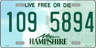 NH license plate 1095894