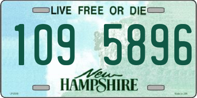 NH license plate 1095896