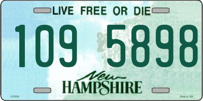 NH license plate 1095898