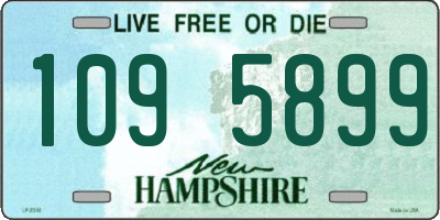 NH license plate 1095899