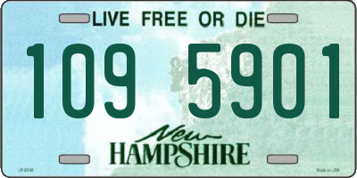 NH license plate 1095901
