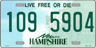 NH license plate 1095904