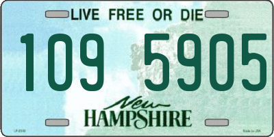 NH license plate 1095905
