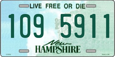 NH license plate 1095911