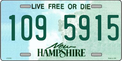 NH license plate 1095915