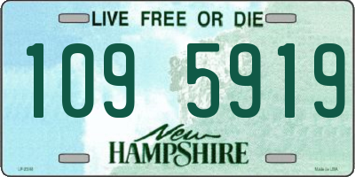 NH license plate 1095919