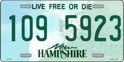 NH license plate 1095923