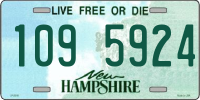 NH license plate 1095924