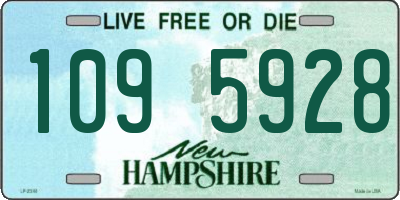 NH license plate 1095928