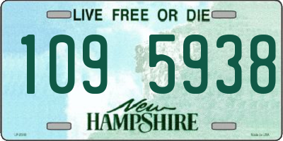 NH license plate 1095938