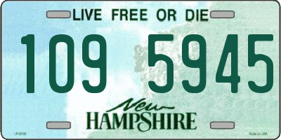 NH license plate 1095945