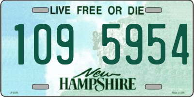 NH license plate 1095954