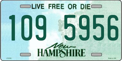 NH license plate 1095956
