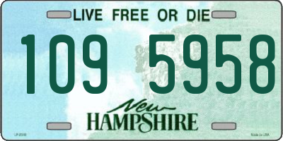 NH license plate 1095958