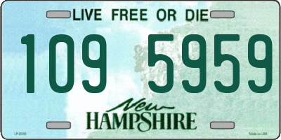 NH license plate 1095959