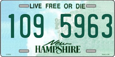 NH license plate 1095963