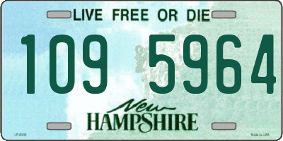 NH license plate 1095964