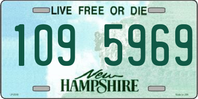 NH license plate 1095969
