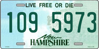 NH license plate 1095973