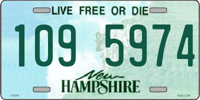 NH license plate 1095974
