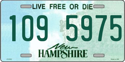 NH license plate 1095975
