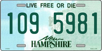 NH license plate 1095981