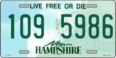 NH license plate 1095986